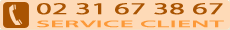 T&eacute;l&eacute;phone service client 02 31 67 38 67